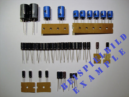 ROLAND RE-501 SRE 555 Elektrolyt-Kondensator-Set QUALITÄT WÄHLBAR recap repair